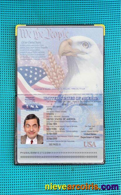 USA passport 2007-2022 photolook
